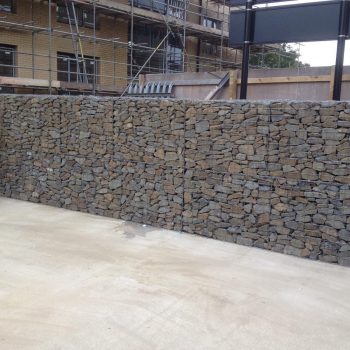 photo_2020-04-08_17-04-16