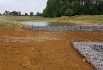 photo_2020-04-08_17-07-41